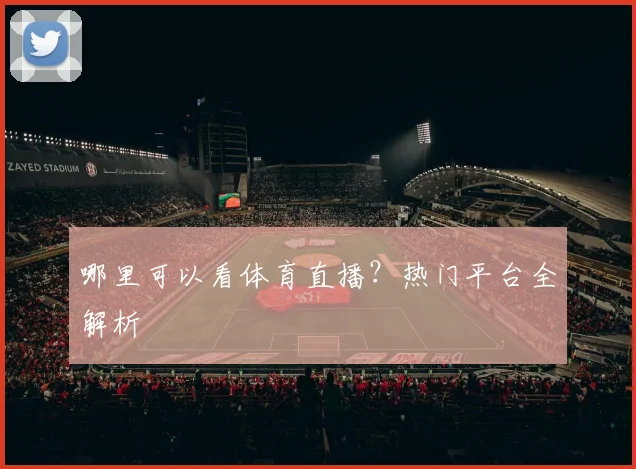 哪里可以看体育直播?热门平台全解析