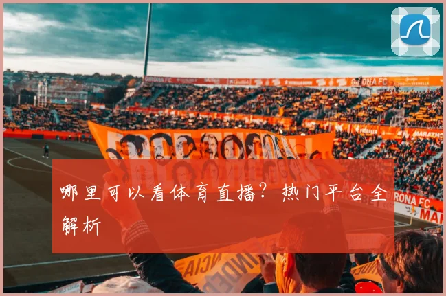 哪里可以看体育直播？热门平台全解析